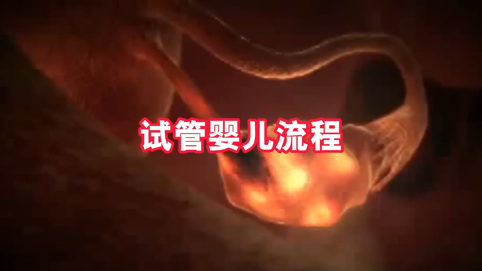 试管婴儿怎么做的全过程
